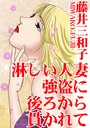淋しい人妻 強盗に後ろから貫かれて││単行本│b403assog19493